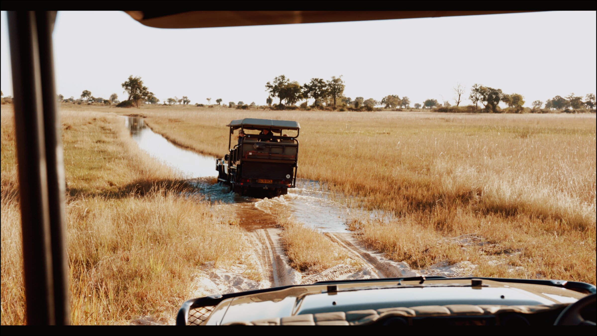 Safari vehicle fording flooded grassland, golden hour